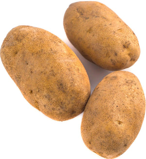 Fresh - Potato - Large - Russet  Bag / Box