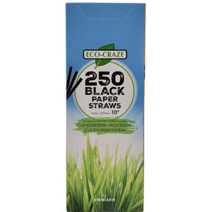 Eco-Craze - 10" Milkshake Straws - Paper - Black - 6mm